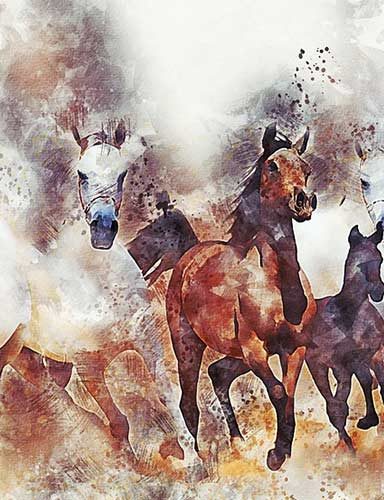 Horse riding painting