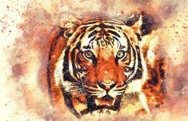 Wildlife tiger painting