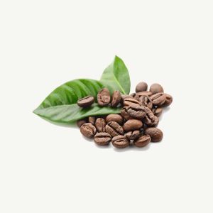 Coffee Bean Leafs
