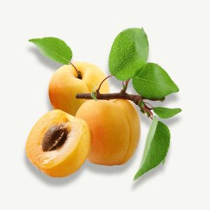Organic Yellow Apricot